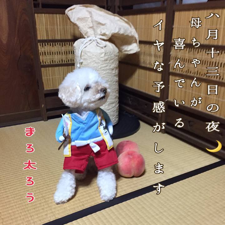 A71355b8 3166 4514 b7c0 29e9f0b7732e