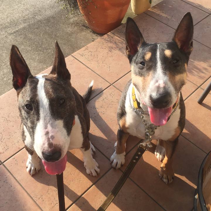 A713a23f fa92 4f1a b963 77f66e06f166