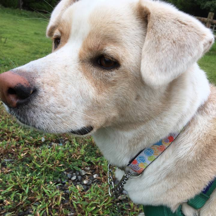 A713dc56 f55a 4734 bba5 27c7f0cbe3b2