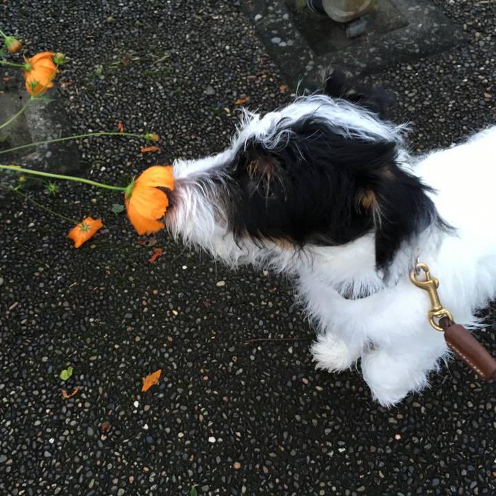 A714cd44 d8c0 4933 84f2 5d68ced5b37e