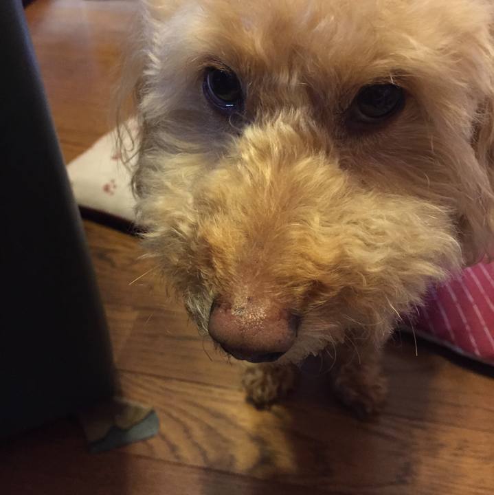 A7157049 e153 46f2 b2ed 4f858935267f