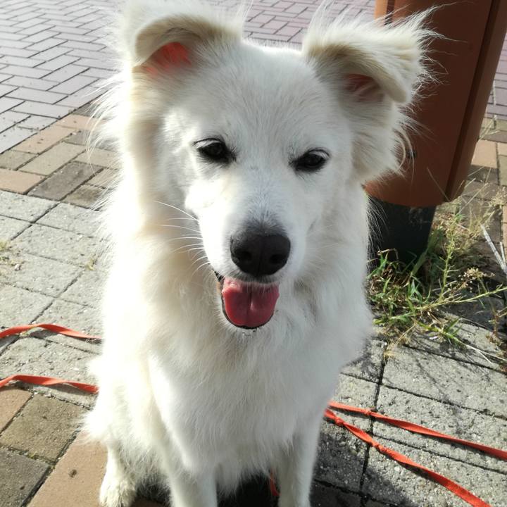 A71590a9 543c 401f b32b cd24872c3723