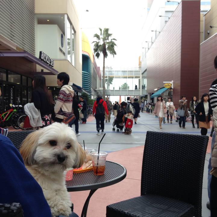 A71596d7 7d2f 4de6 ba8e ec848537967d