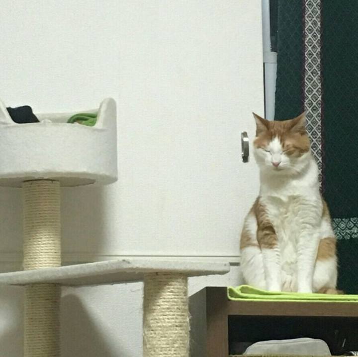 A715c74d 093f 4412 b42e 3772e9309e3e