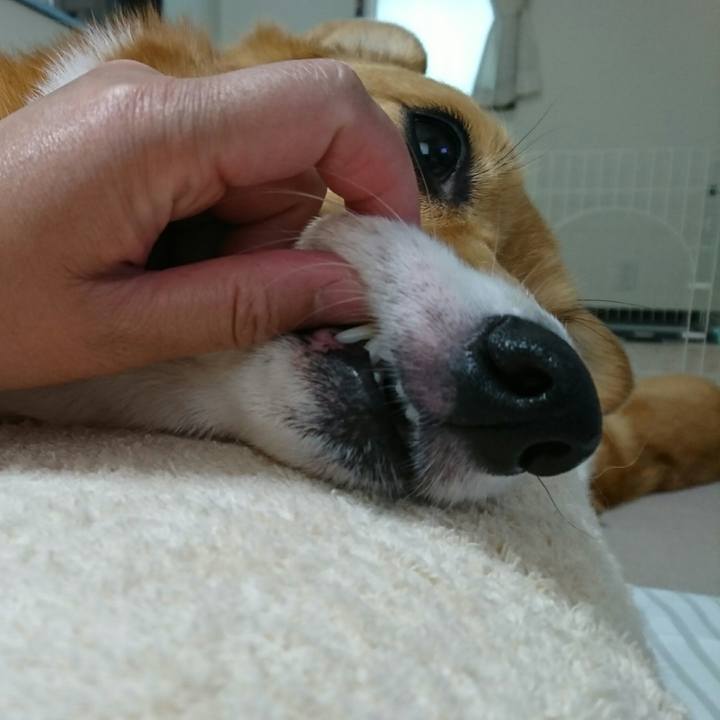 A7169351 10e3 42cb bc49 426e8297b54e