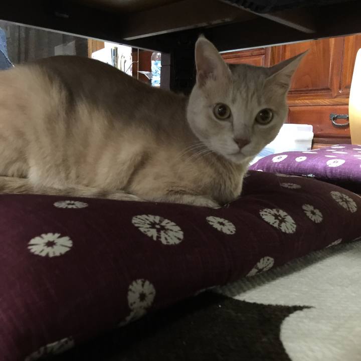 A716d212 b1bb 4a56 9716 608f22a8e339