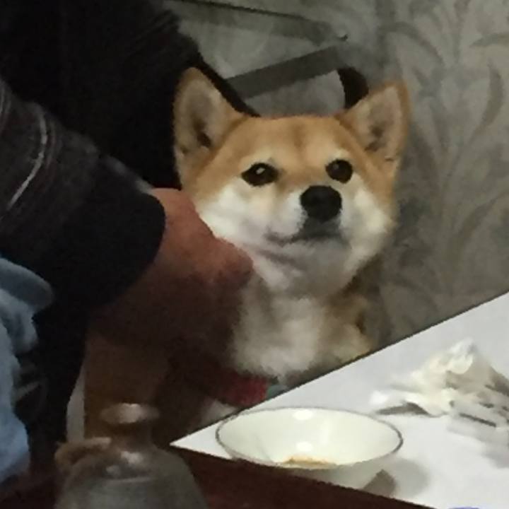 A716dd16 5d7a 4304 8888 274881f9277c