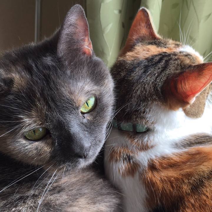 A716f642 942f 42da bdf6 6369fa988a5e