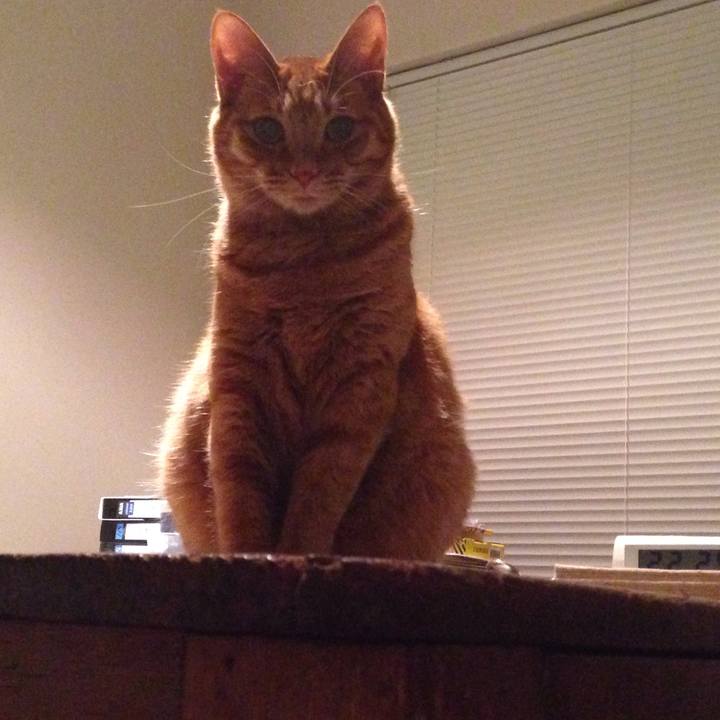 A716f829 615a 4080 91a8 12987ef94596