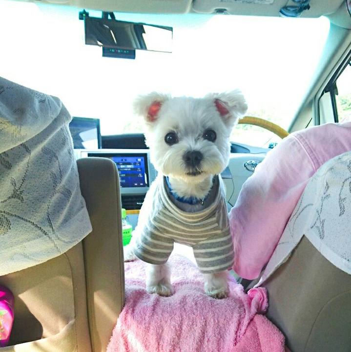 A7181f81 7212 4c55 b41b 4c3b82fd413f