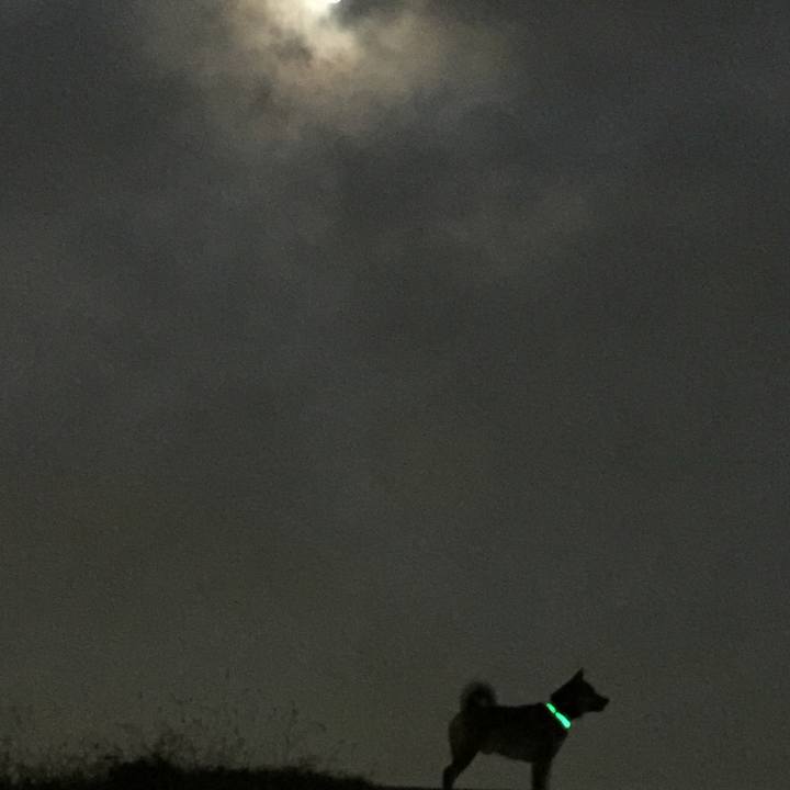 A71868ce 7532 4696 a317 69fde4b4f788