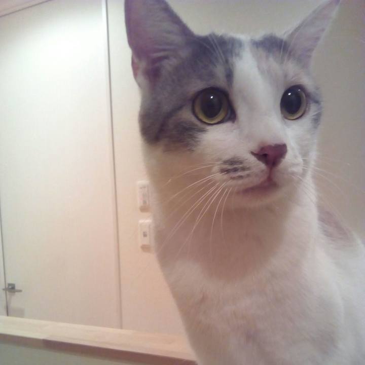 A718958e ea7b 4e1e b4bf ebf0db6ee45f