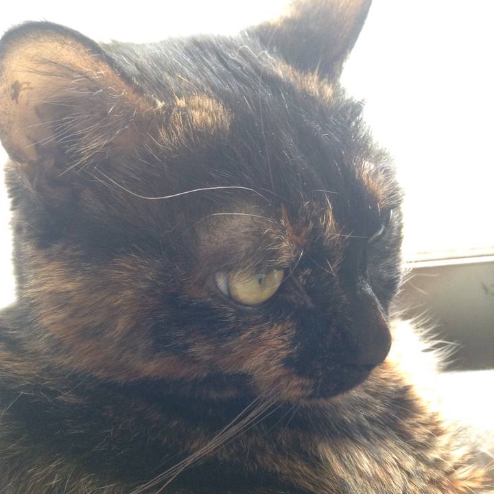 A718ea30 233e 494c 8325 99b663e205dd