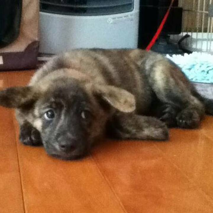 A718f430 4a06 42ed a047 857bb28b9cdd