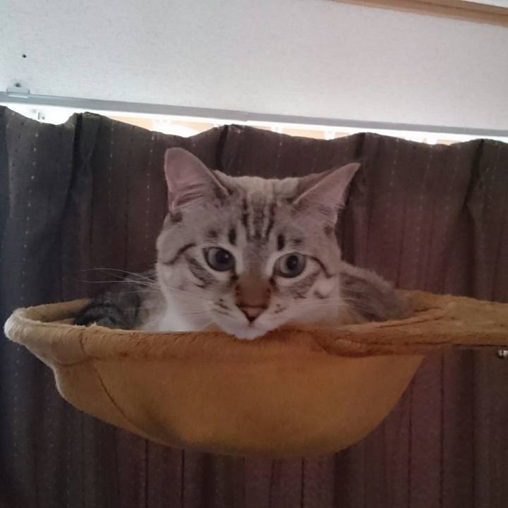 A71a25b9 3dbb 4e6e bc9e 937f5c99a02b