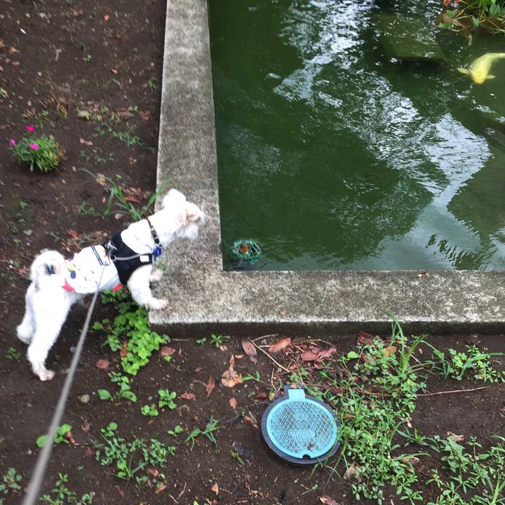 A71a57e9 0988 4ea6 9b85 556e25f2c3fe