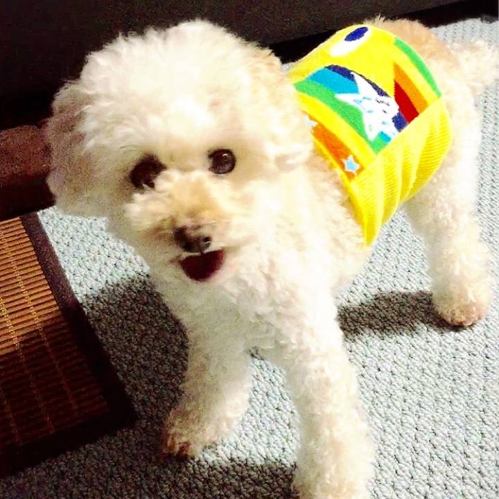 A71a8124 fec7 47b5 afeb b72f1a2aea4d