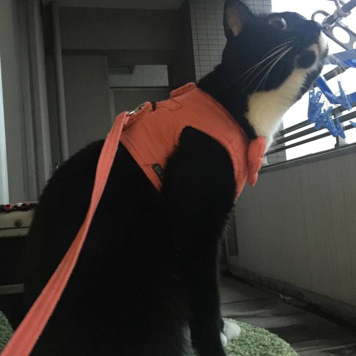 A71a99c3 03f7 4109 ab68 23459bc4064d