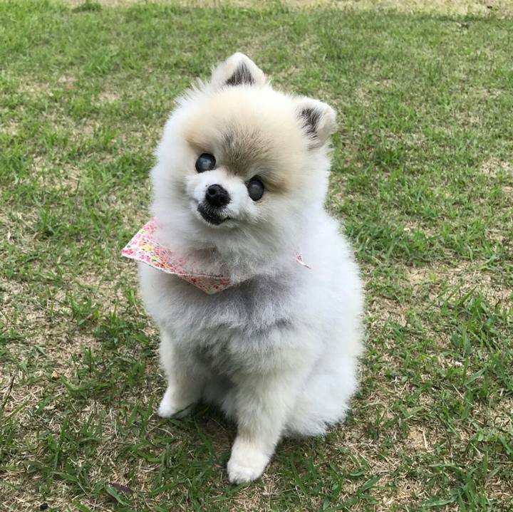 A71abf60 207a 4862 a13a a60af56303f0