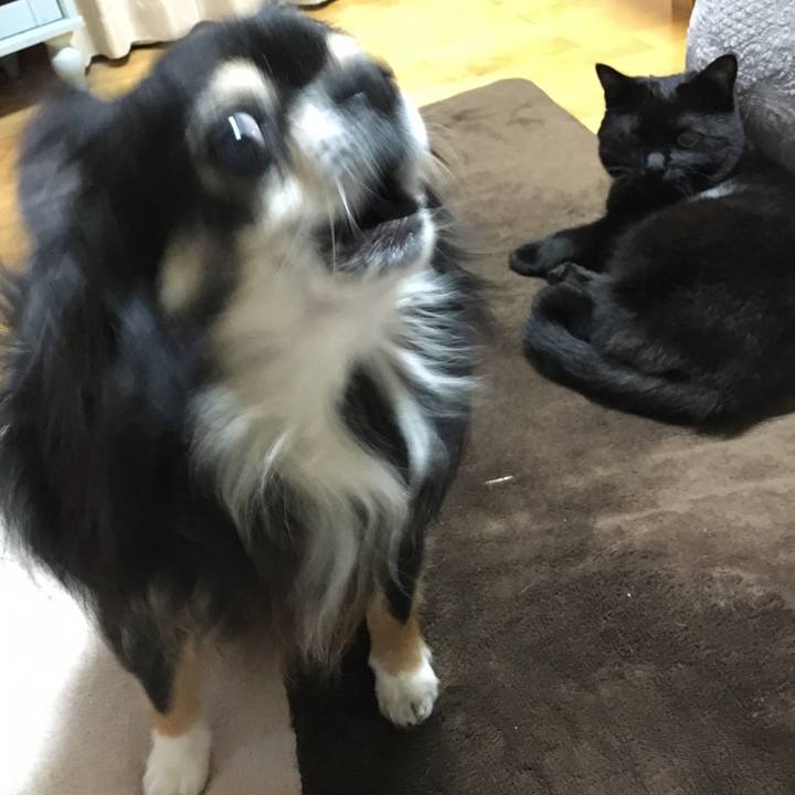 A71aca16 1562 4f35 859d b01c9e1387b1