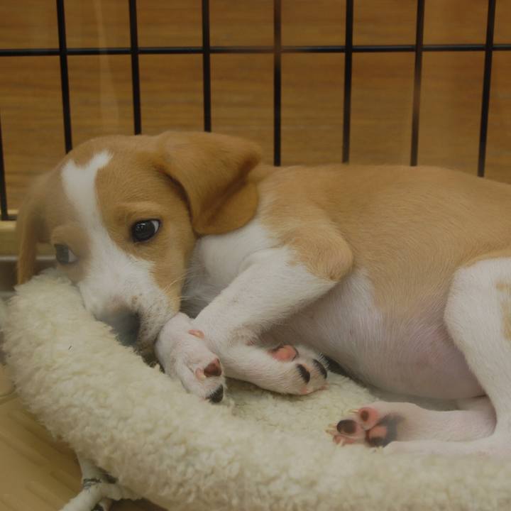 A71adcb3 2838 4141 a393 aa257af91cee