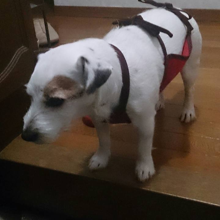 A71af2be aaa2 4e01 8cdc d00cf5ba3edf