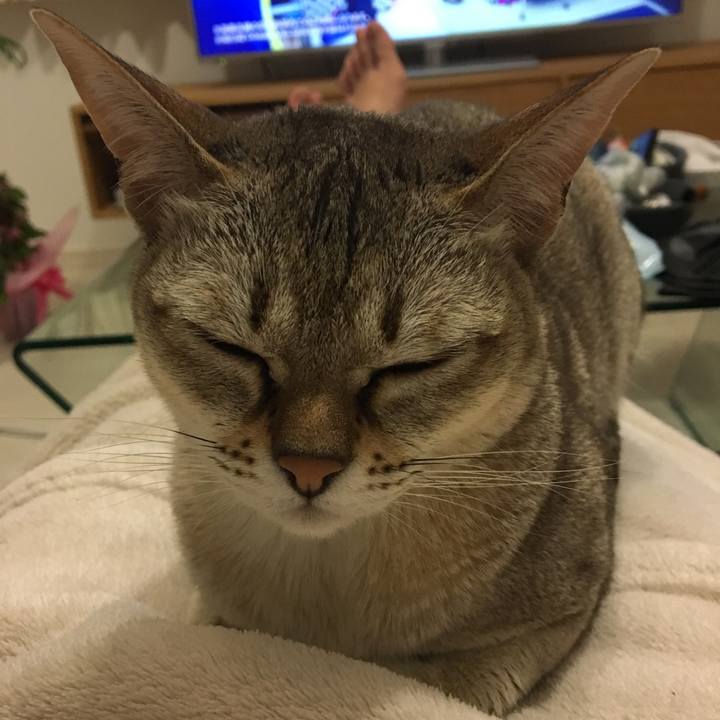 A71b1256 5546 4c4b bfe2 122e4f6e96ab