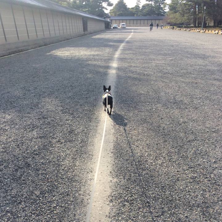 A71bd564 6bf2 4e59 81fd 877ea34703af