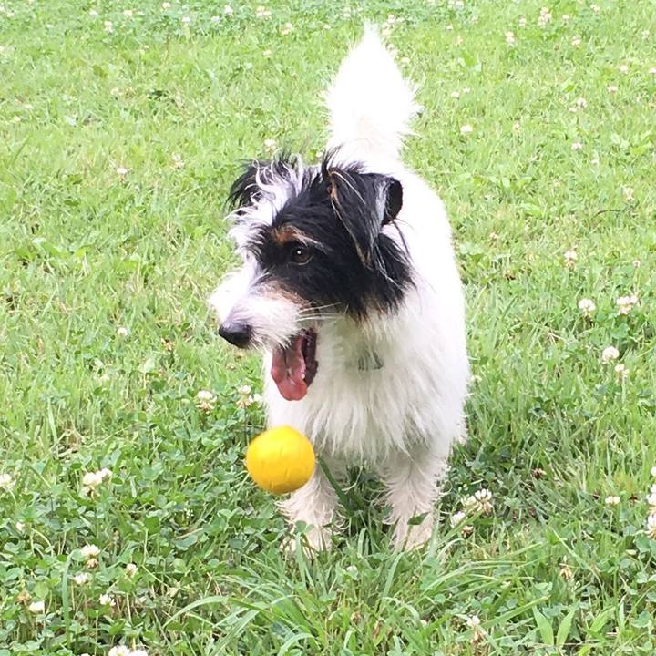 A71c7ef3 5bb2 47df 973a aa6da8cab53b