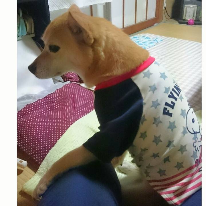 A71ca968 a444 4362 bfdf 8435ae31156f