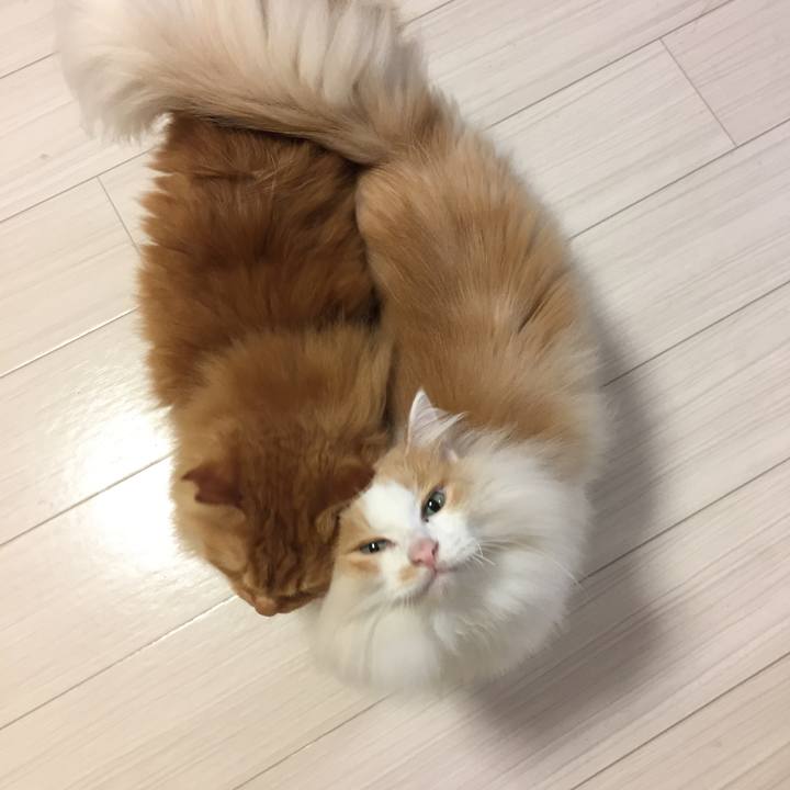 A71d6aeb aa4a 4602 a0b6 45844cf7e7f4