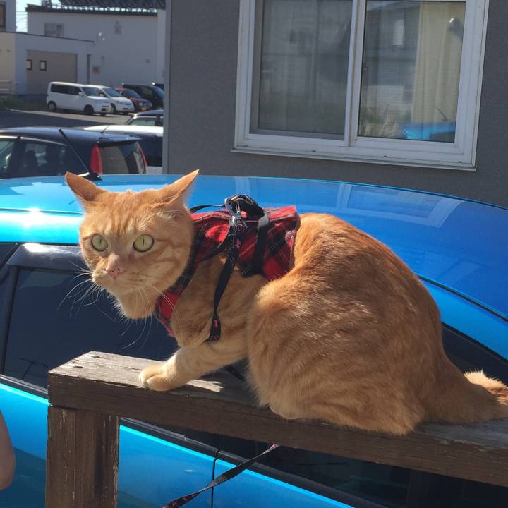 A71dd3d1 e4f7 45b3 b4d6 f09a896aebf7