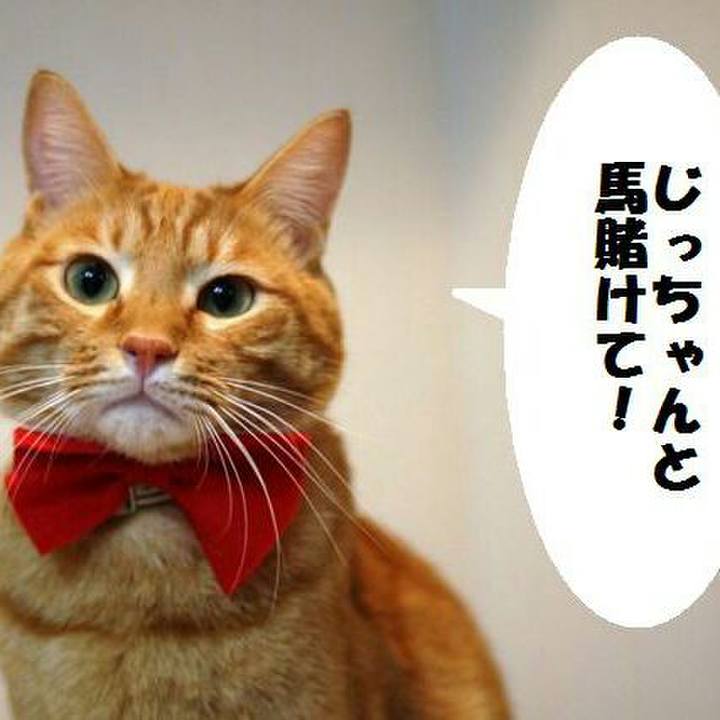 A71e87e9 dc7e 4a6b 9603 9eaafb0e9b80