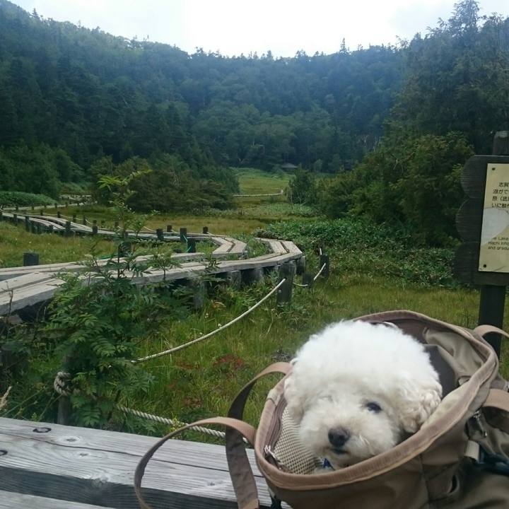 A71ea361 f332 42d4 b6b1 da631d1acb13