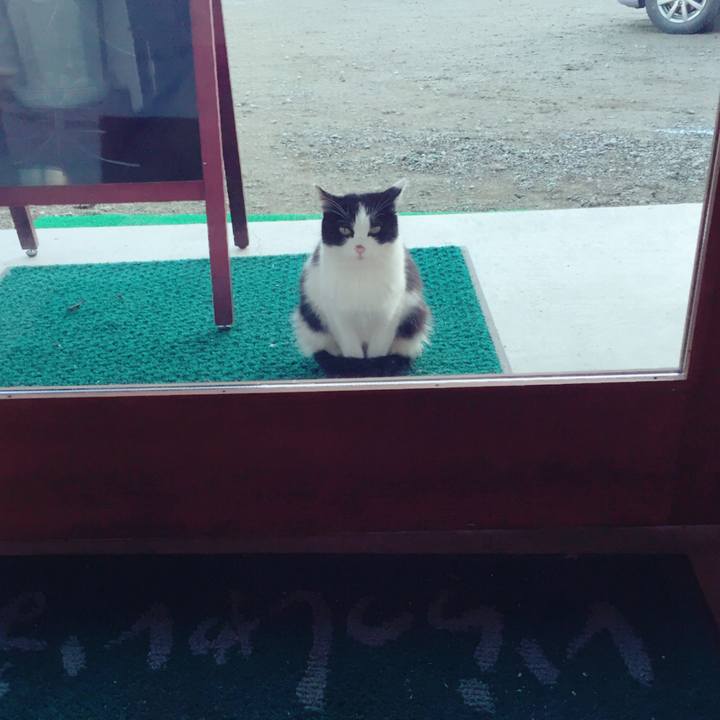 A71ecc43 3e78 4321 a988 fc07ad59d98b