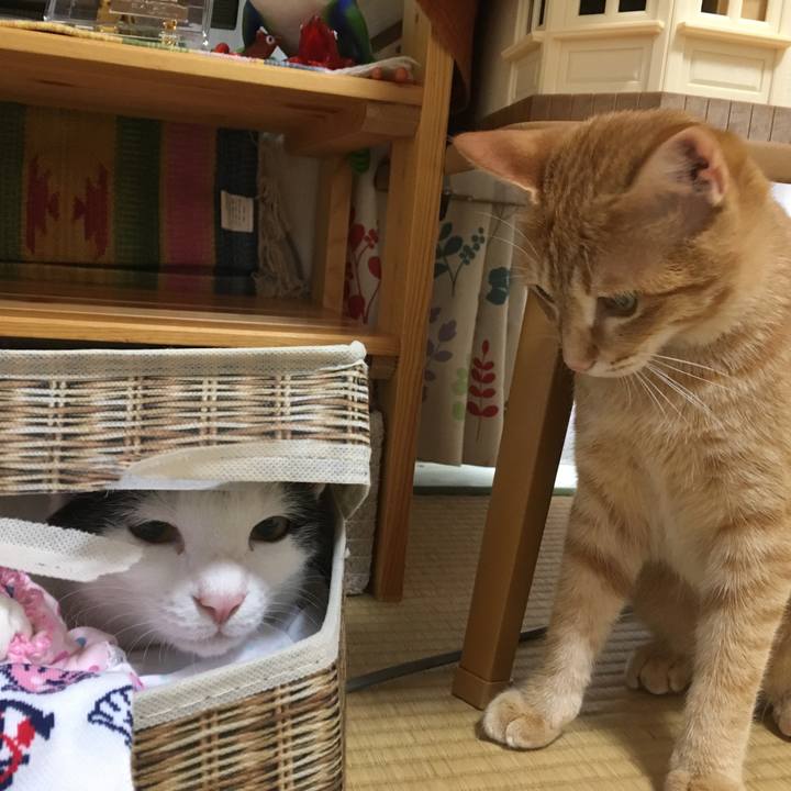 A71f967d 8627 4467 bc56 ba8e57ccd345