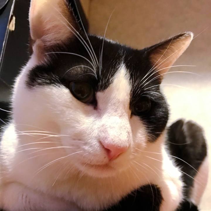 A71fdcac d49d 419a a02c 29d5f6f5eb06