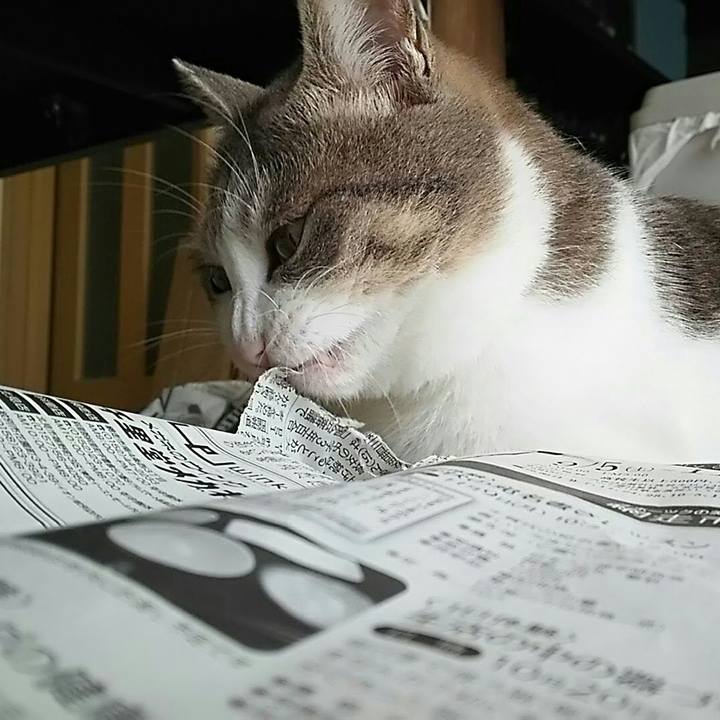 A7208078 8ffc 48bb 8e6c 6d21f97948d0