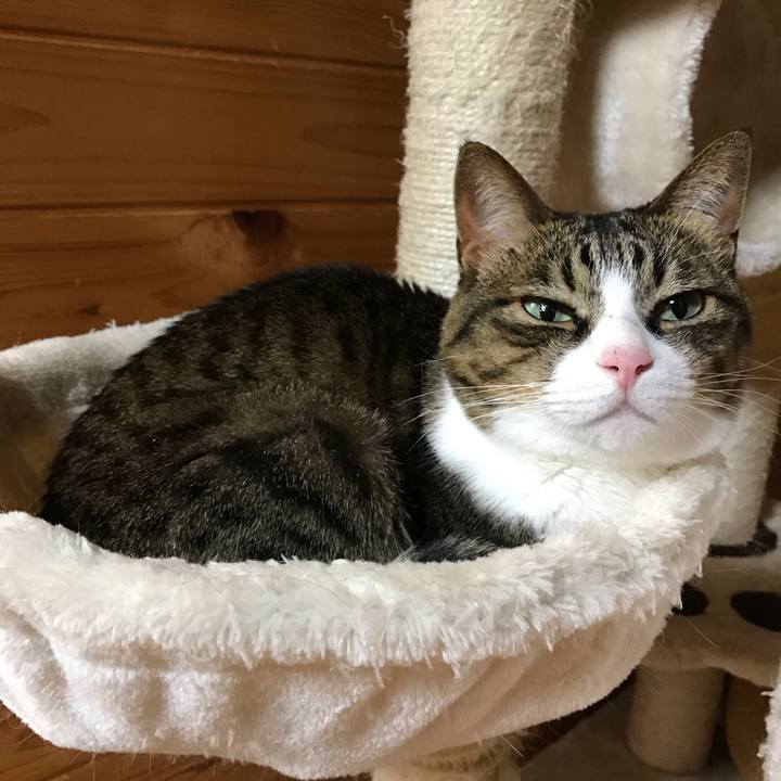 A720b073 14a6 450c ba9d 5ad058df48c7