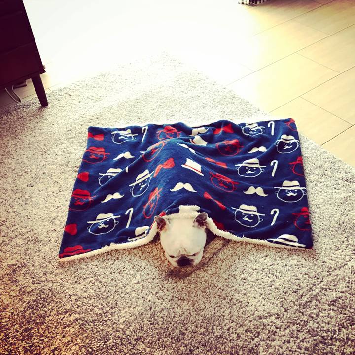 A7210df1 32c1 4a37 a855 ec83c24c9f36