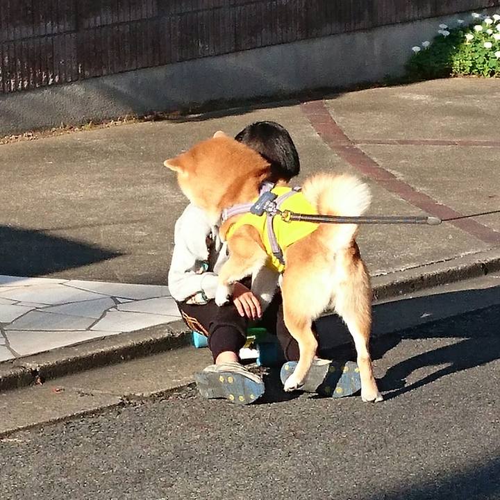 A7211594 883e 4c95 946a 03c3e59cfd38