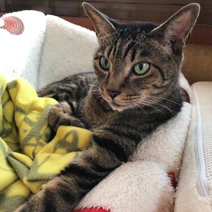 A7215d87 80aa 4448 9f40 fe94e7c42bfe