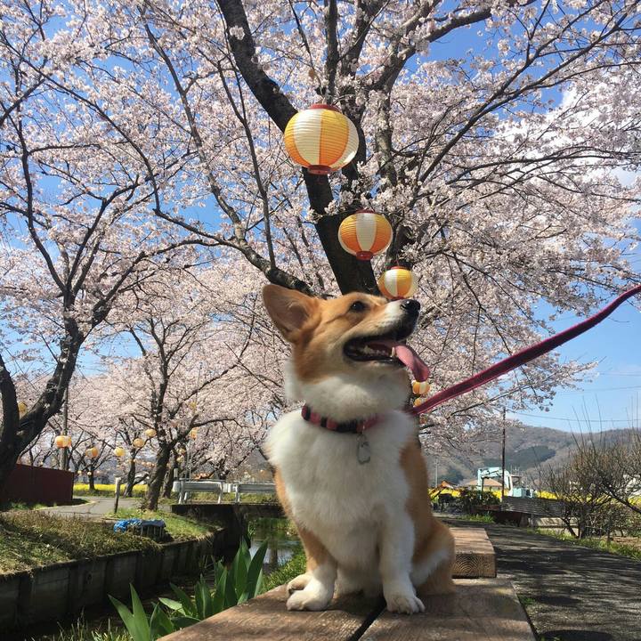 A7221e6c 1af5 48df b33c b5381738fab3