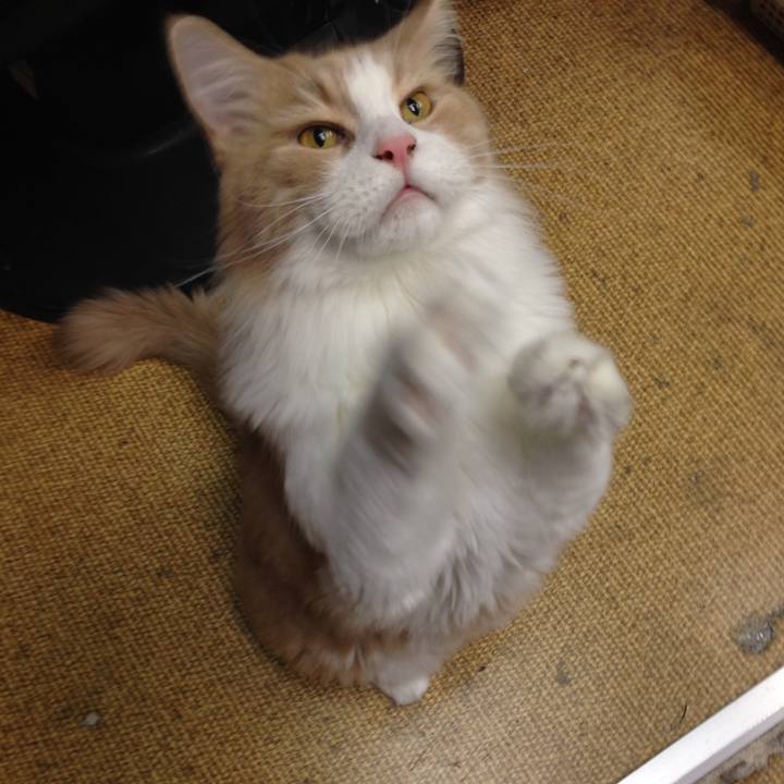 A722a45b ac04 43c1 a254 af364b937ec4