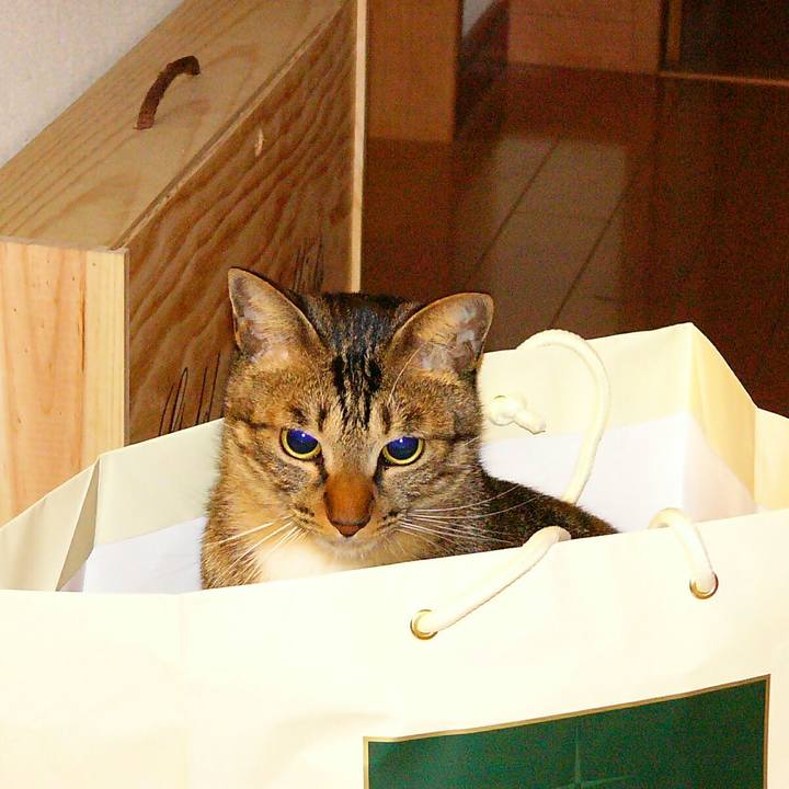 A722cb57 2165 4532 bfa6 5d3878996db7