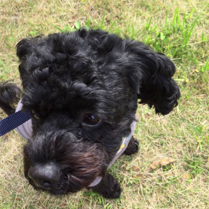 A723b9ca 19ca 4e8e a2cc 54c444df0cfc