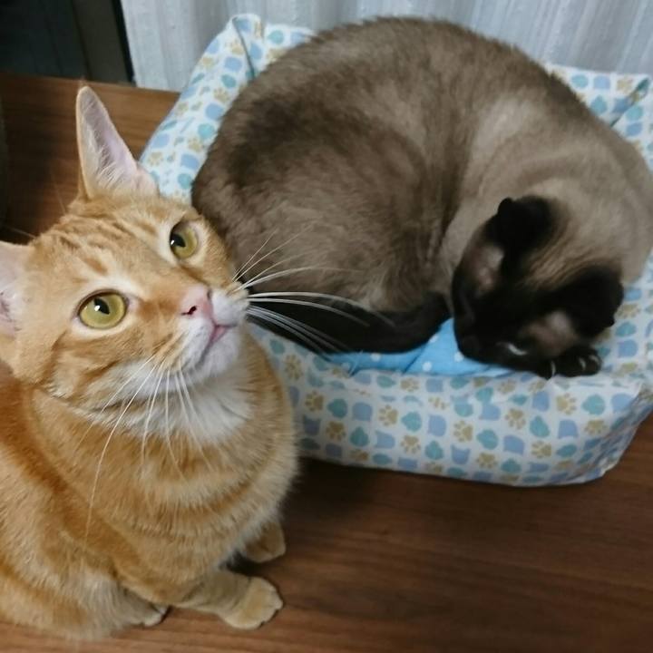 A72422ec baff 48f2 8192 0dae94e5de7d