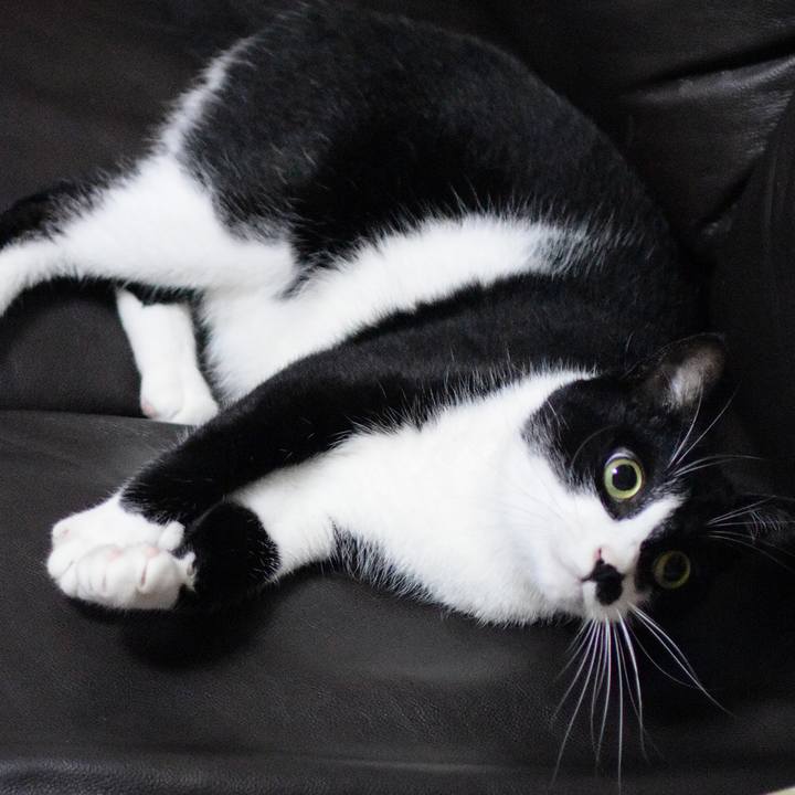 A724288a 8343 49af 837e 881201fa1305