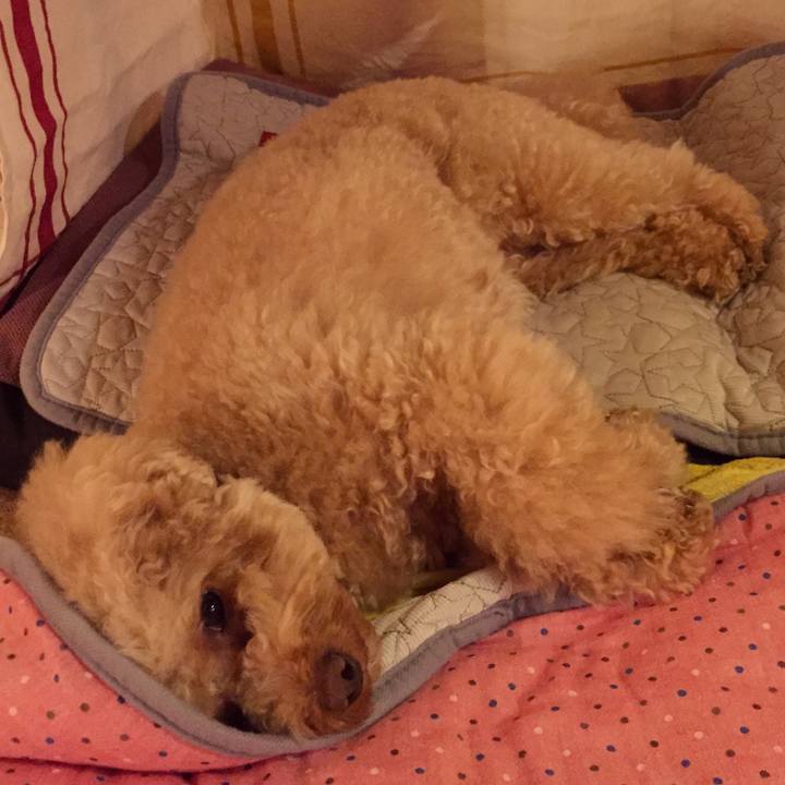 A7242bb8 e77f 4b7a 80d4 3486362fa5b9