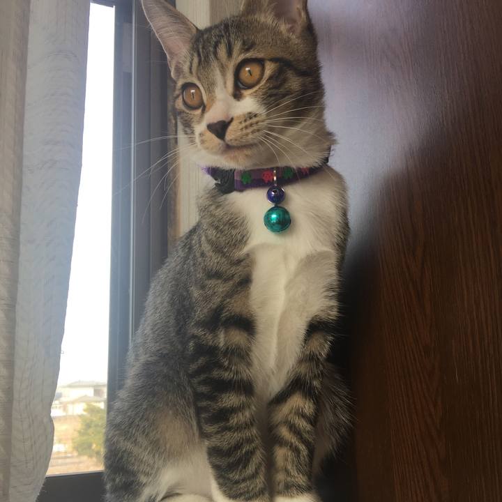 A724632d f067 4bf4 8356 3cdf598ddc60